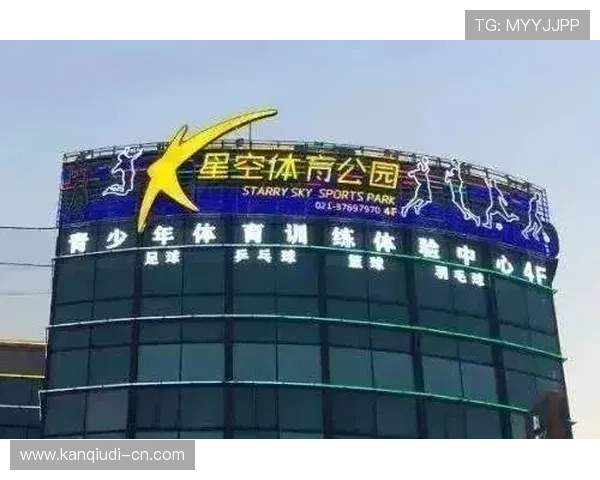 333体育数字站如何实现高效的体育数据统计与分析服务